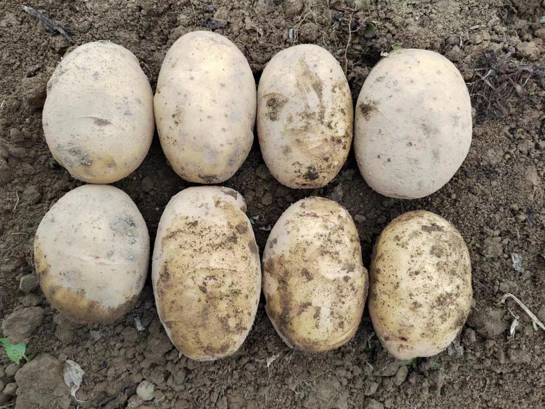 eefacef05806b9c8e064e0b6378356e